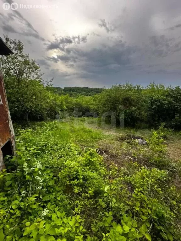 Участок в Благовещенск, СТ Светлана (10 м) - Фото 1