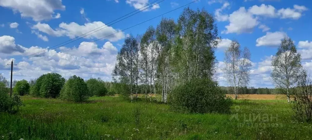 Участок в Московская область, Шатура муниципальный округ, д. Маврино  ... - Фото 1