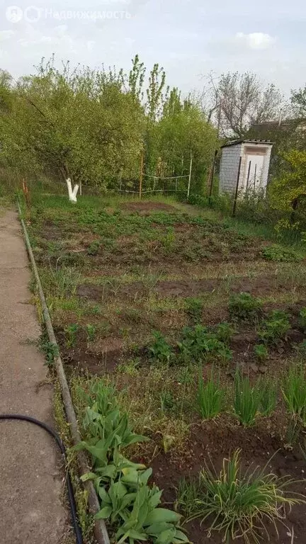 Дом в Фрунзенское сельское поселение, СНТ Судостроитель (20 м) - Фото 2