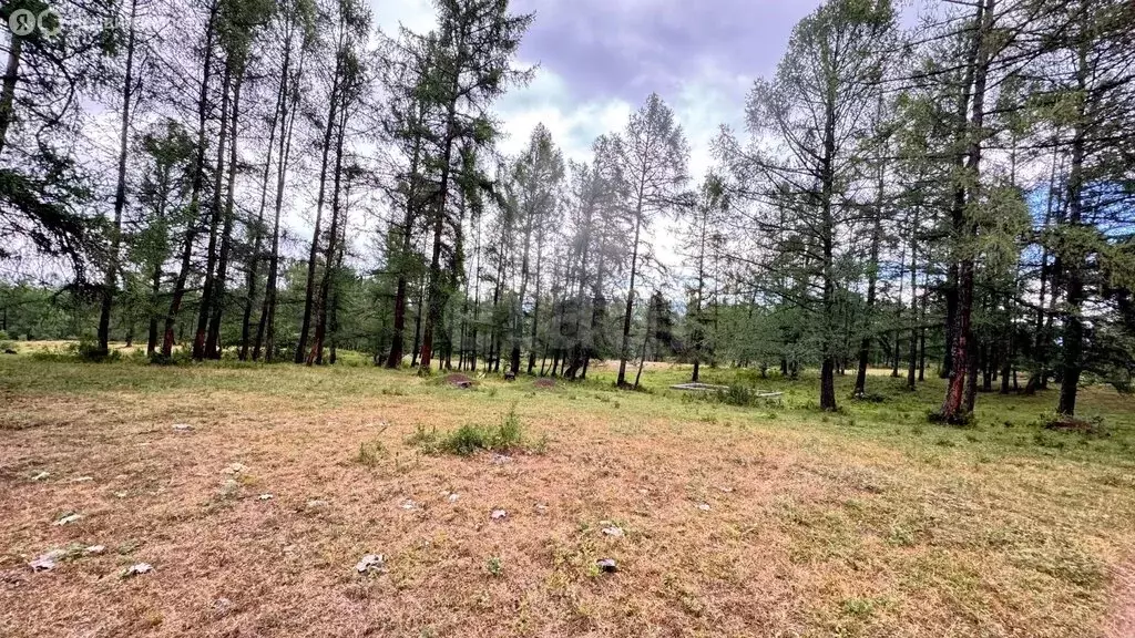 Участок в Усть-Коксинский район, село Мульта (15.96 м) - Фото 2