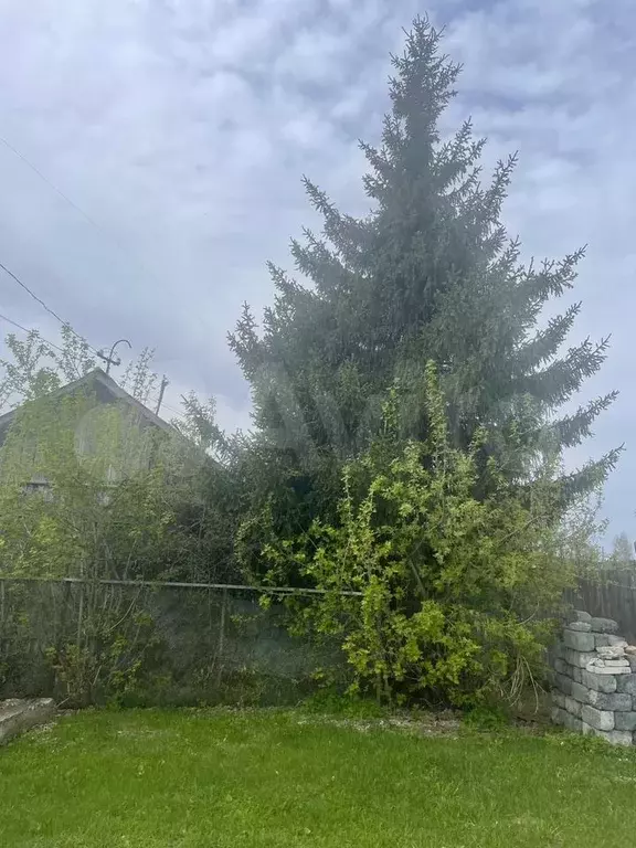 Дом 30 м на участке 17 сот. - Фото 1