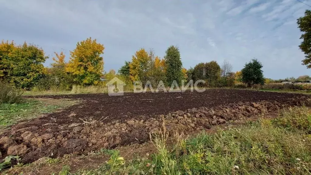 Участок в Владимирская область, Юрьев-Польский район, Небыловское ... - Фото 0