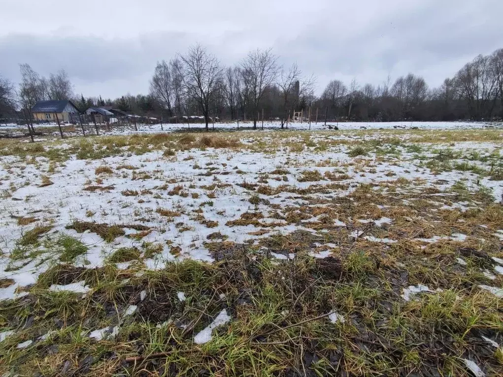 Участок в Московская область, Лотошино муниципальный округ, д. Ушаково ... - Фото 1