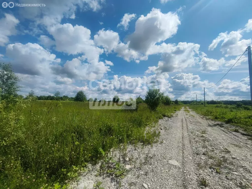 Участок в Любанское городское поселение, деревня Большое Переходное ... - Фото 0