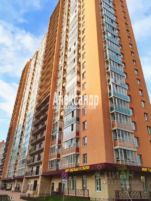 Студия Ленинградская область, Мурино Всеволожский район, просп. ... - Фото 1