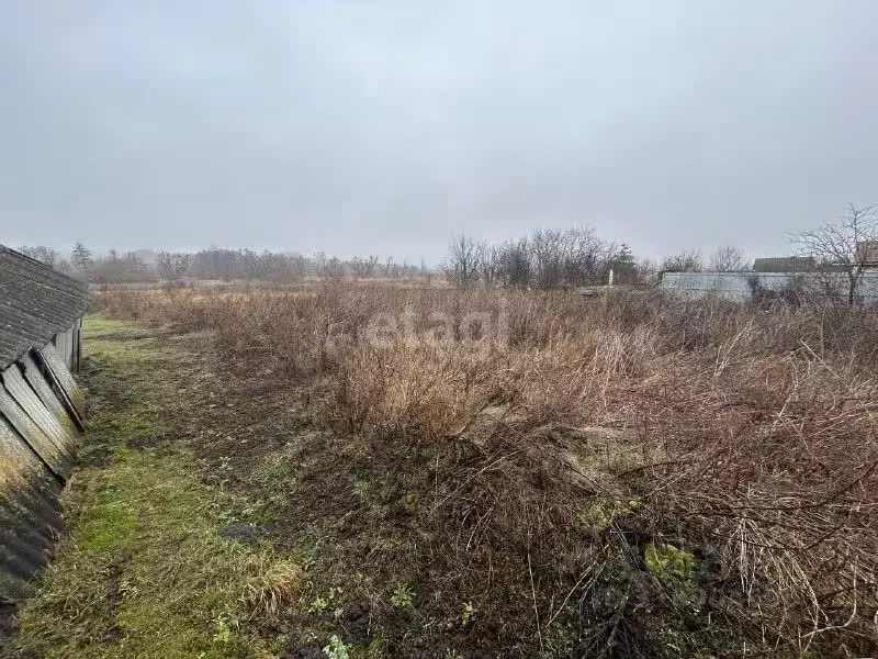 Участок в Белгородская область, Яковлевский муниципальный округ, с. ... - Фото 1