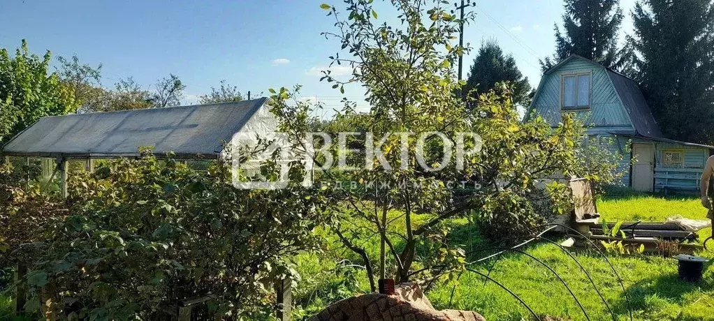 Дом в Костромская область, Костромской район, Самсоновское с/пос, ... - Фото 2