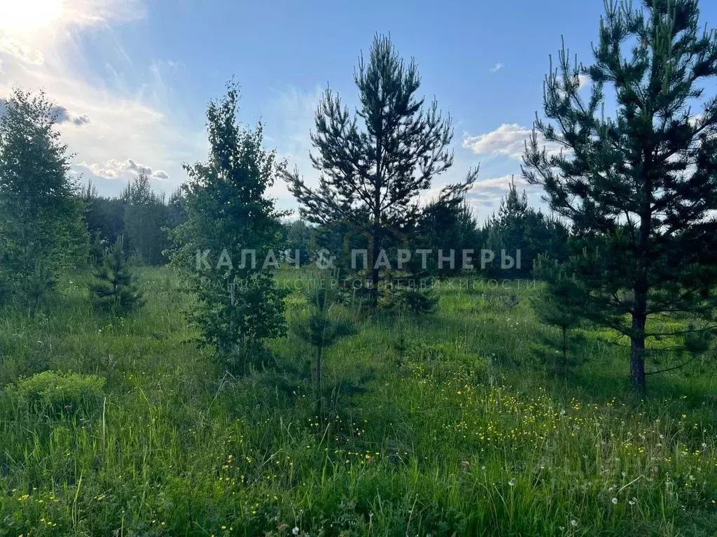 Участок в Свердловская область, Верхняя Пышма городской округ, д. ... - Фото 2