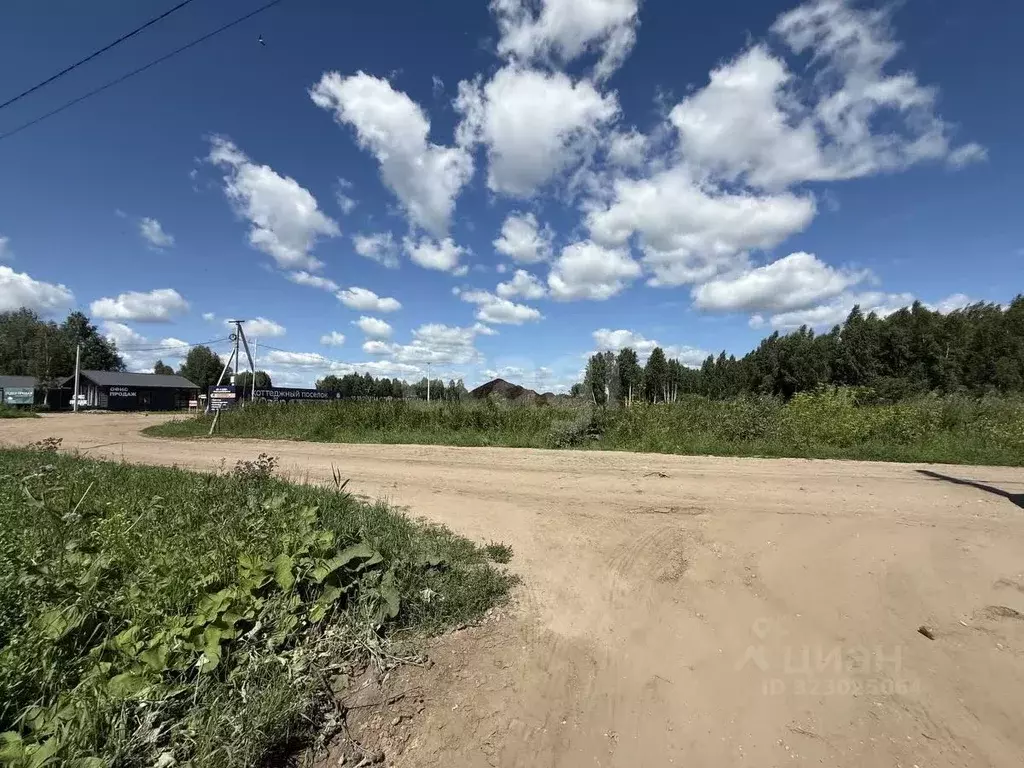 Участок в Тюменская область, Нижнетавдинский муниципальный округ, ... - Фото 1