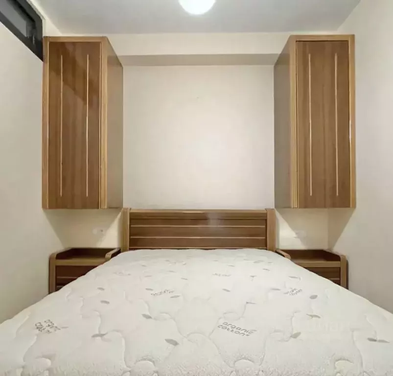 2-к кв. Краснодарский край, Сочи Красная ул., 2 (38.0 м) - Фото 2