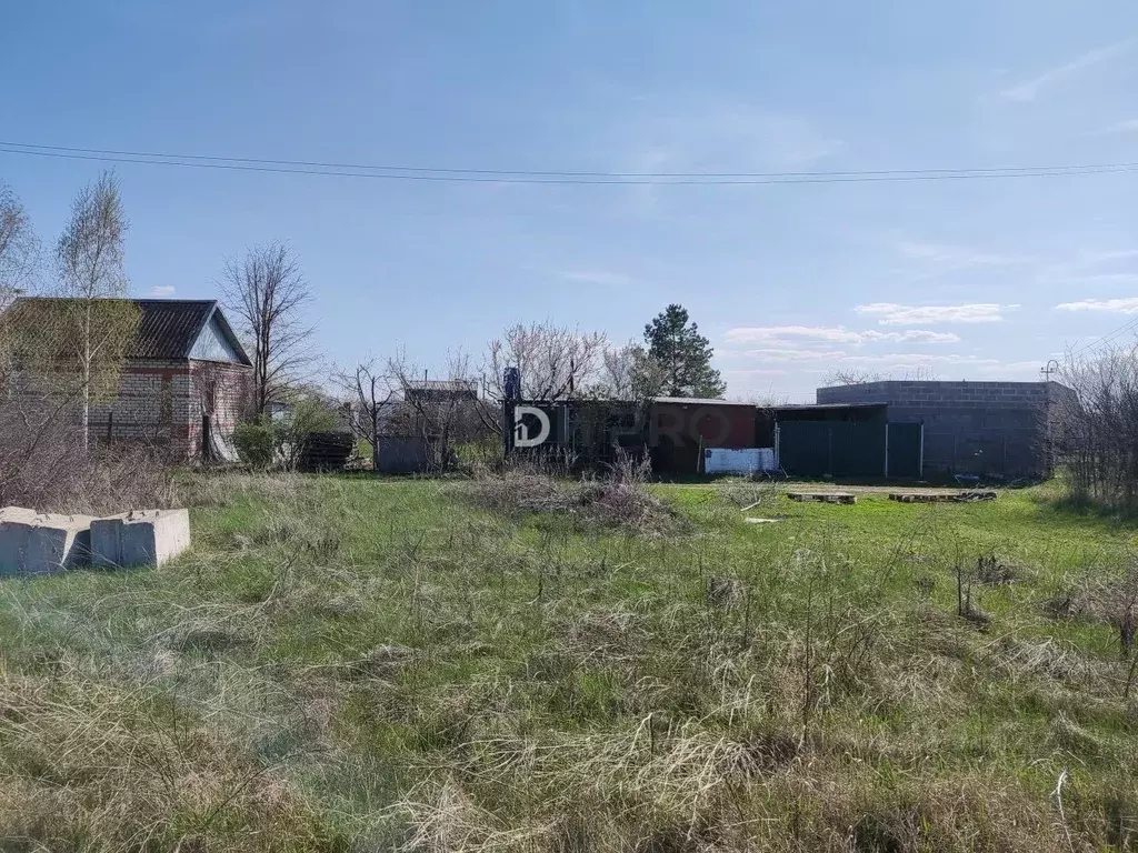 Участок в Саратовская область, Энгельсский район, Терновское ... - Фото 2