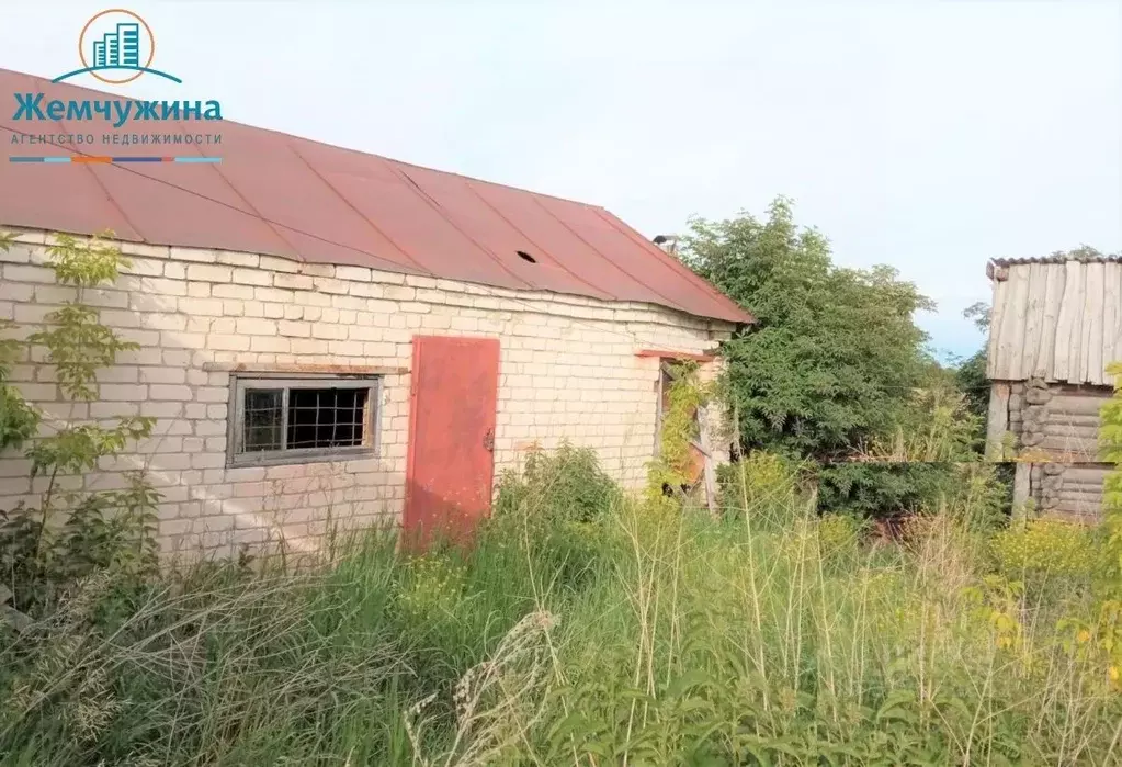 Участок в Ульяновская область, Новомалыклинский район, ... - Фото 2