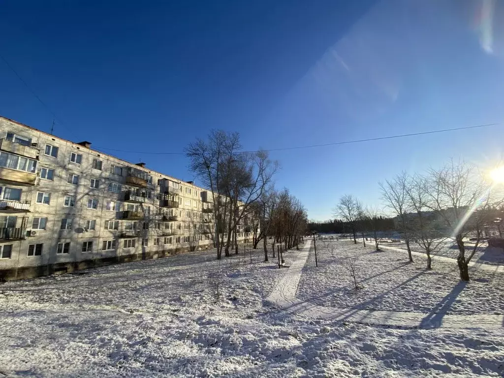 2-к кв. Ленинградская область, Гатчинский район, д. Сяськелево 10 ... - Фото 0