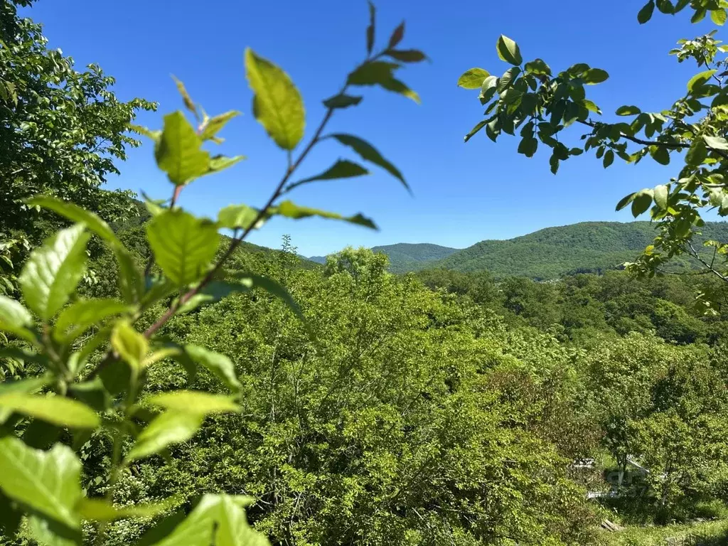 Участок в Краснодарский край, Туапсинский муниципальный округ, с. ... - Фото 0
