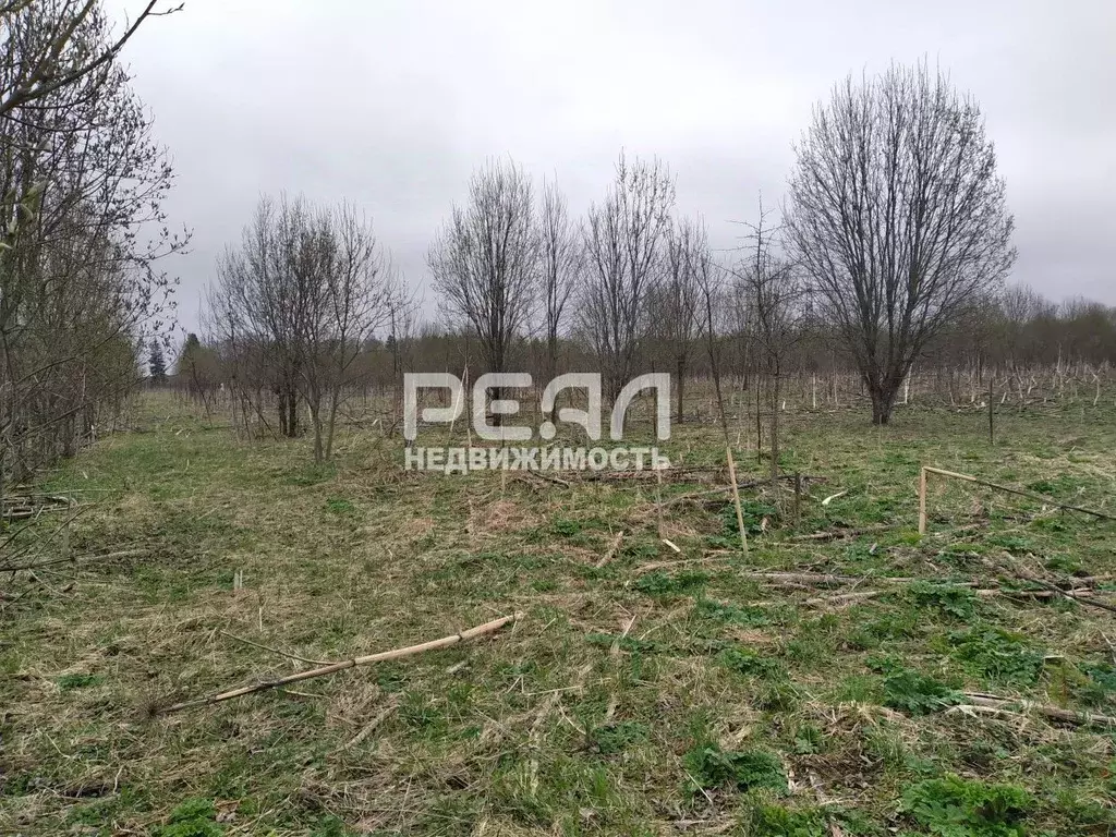 Участок в Ленинградская область, Волосовский район, Большеврудское ... - Фото 1