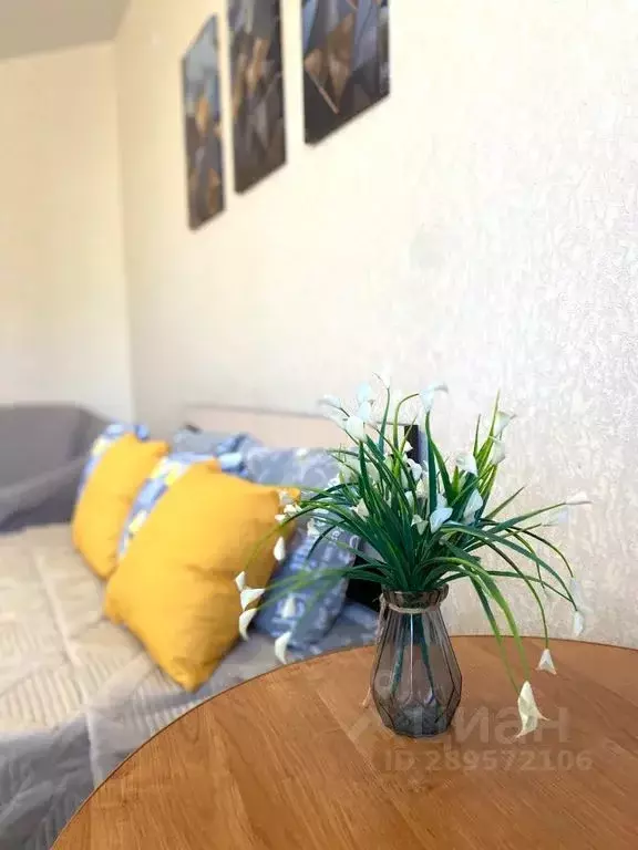 1-к кв. Иркутская область, Иркутск Байкальская ул., 236Б/2 (50.0 м) - Фото 2