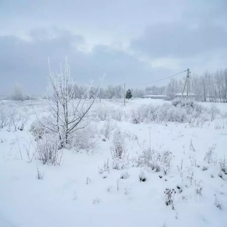 Участок в Тульская область, Донской Задонье мкр, Трудовая ул. (15.0 ... - Фото 1