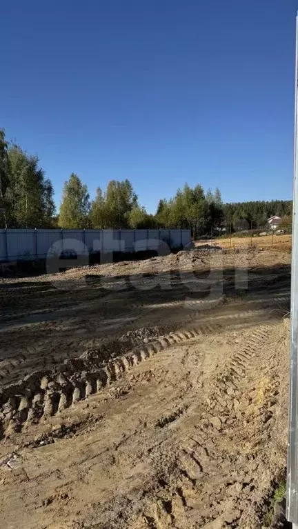 Участок в Нижегородская область, Выкса городской округ, Шиморское рп, ... - Фото 1