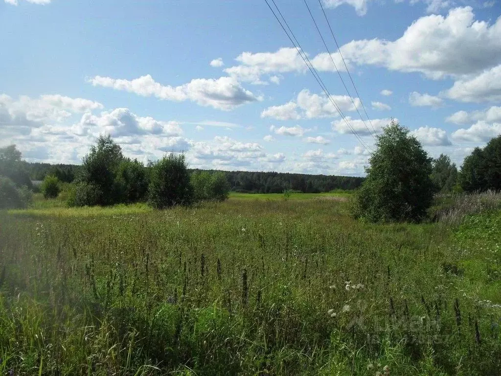 Участок в Ленинградская область, Приозерский район, Плодовское с/пос, ... - Фото 1