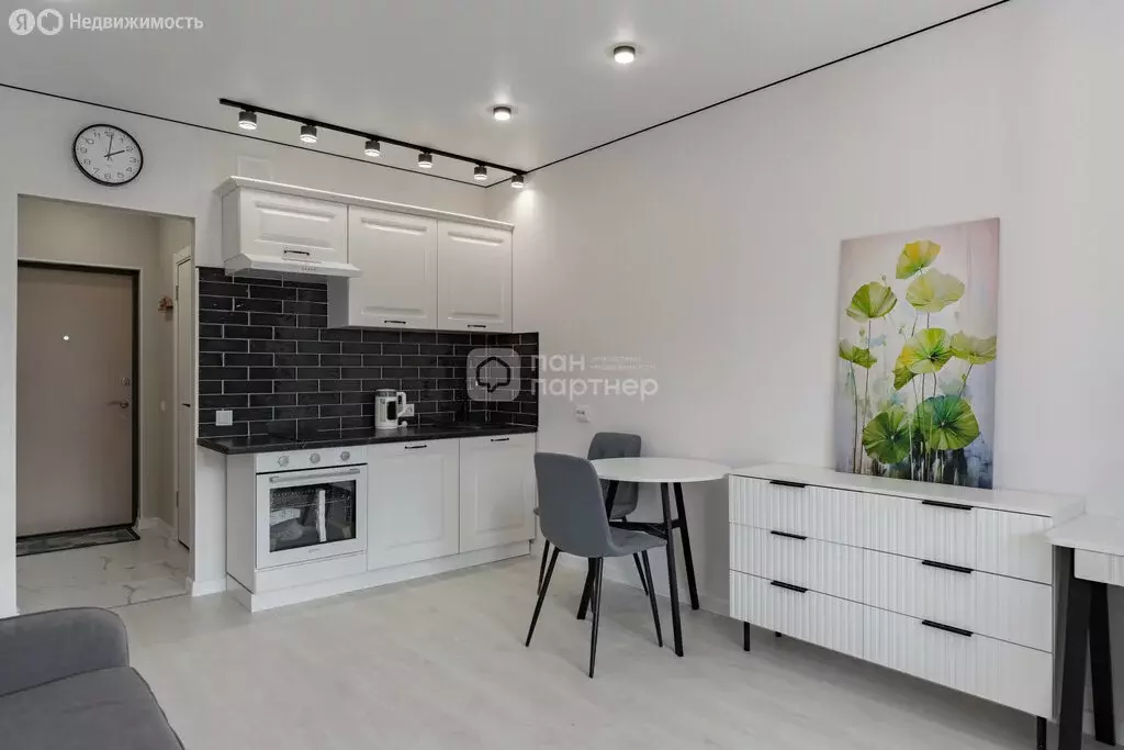 Квартира-студия: Мурино, Ручьёвский проспект, 20 (27 м) - Фото 2
