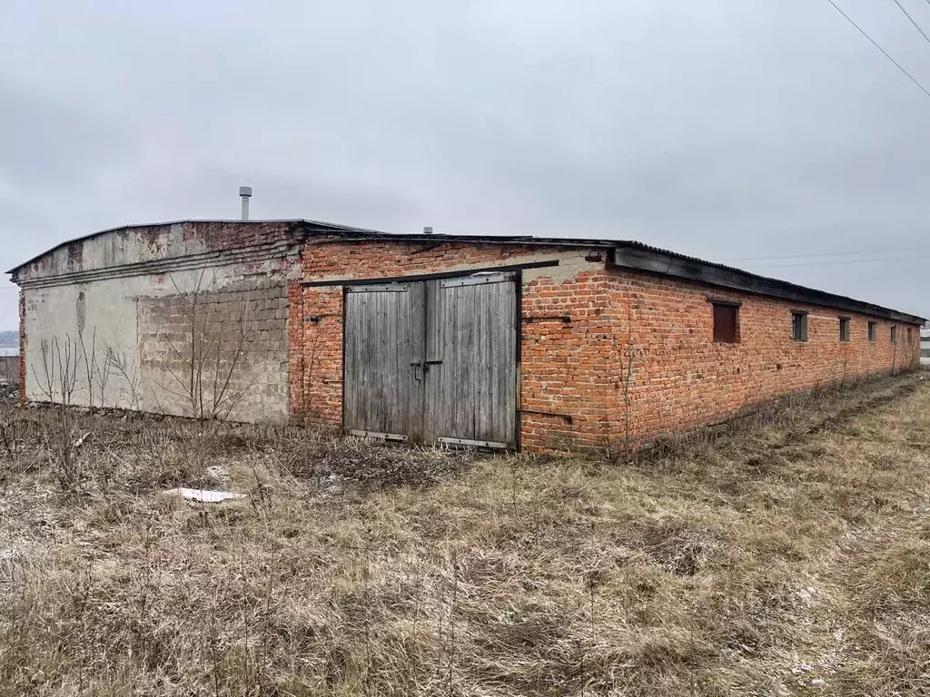 Помещение свободного назначения в Курская область, Курский район, ... - Фото 0