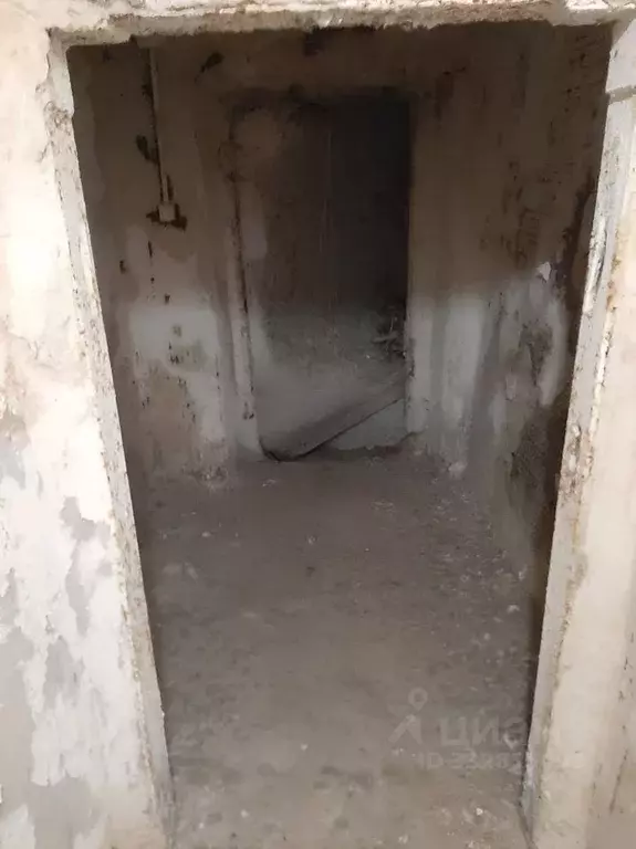 Помещение свободного назначения в Воронежская область, Воронеж ул. ... - Фото 1