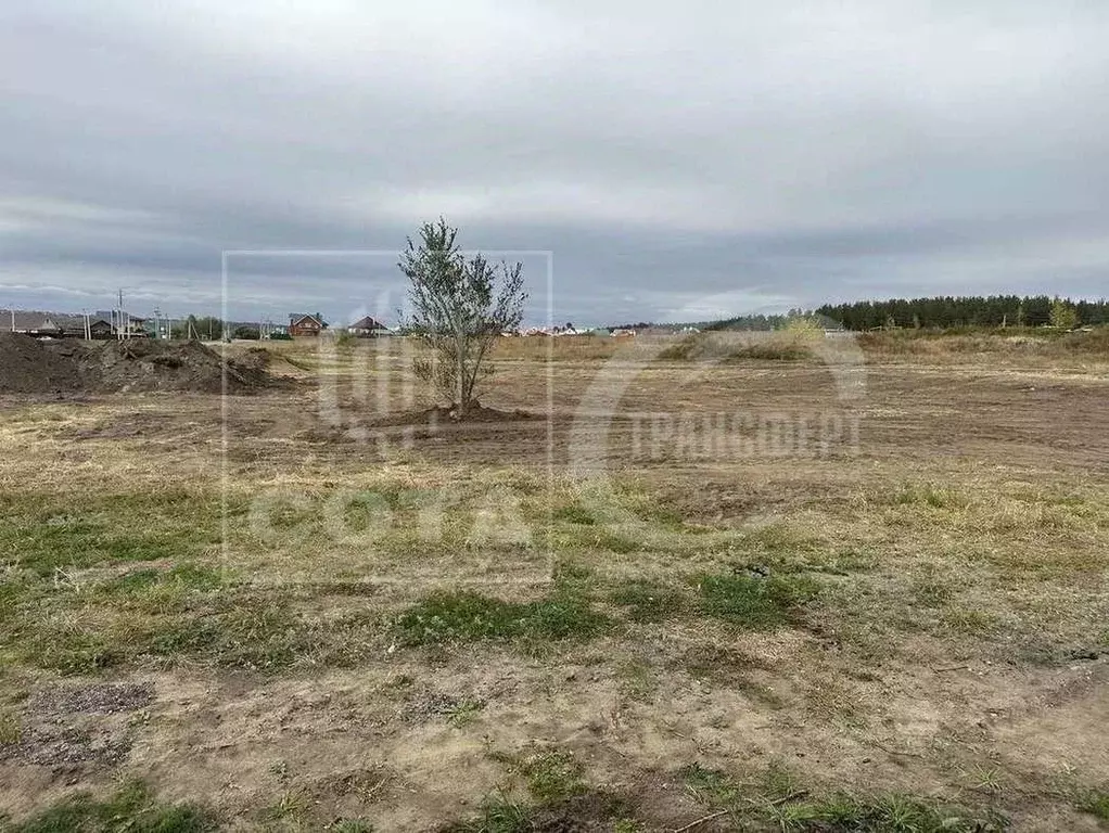 Участок в Воронежская область, Воронеж ул. Испытателей (7.88 сот.) - Фото 2