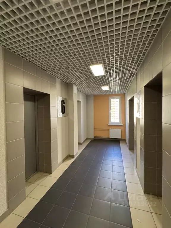 1-к кв. Санкт-Петербург ул. Дыбенко, 6к2 (41.6 м) - Фото 2