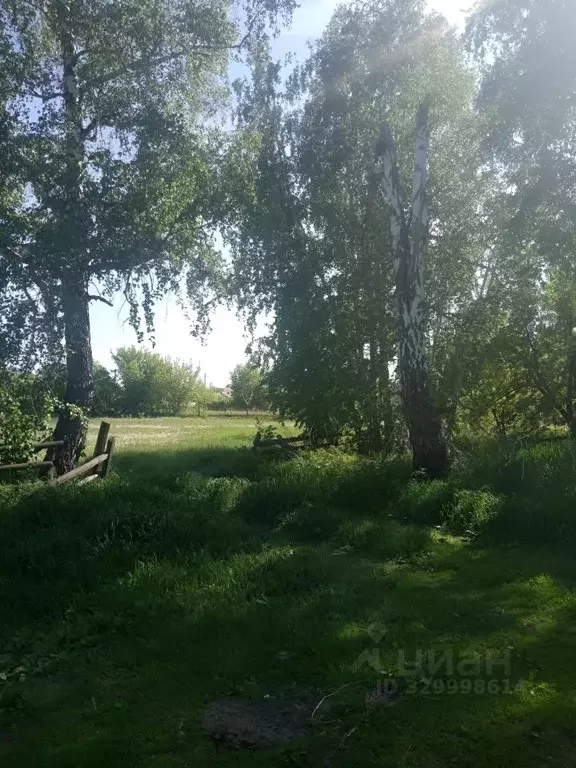 Участок в Алтайский край, Барнаул городской округ, пос. Черницк  (19.0 ... - Фото 1