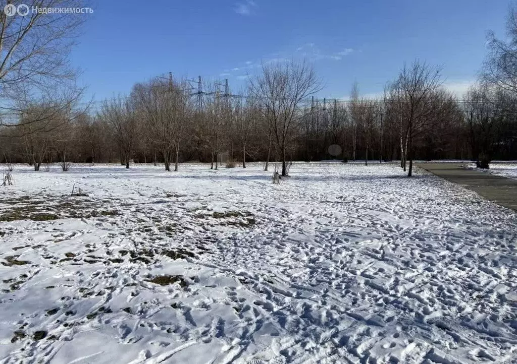 Участок в Тульская область, городской округ Тула, деревня Липки (30 м) - Фото 2