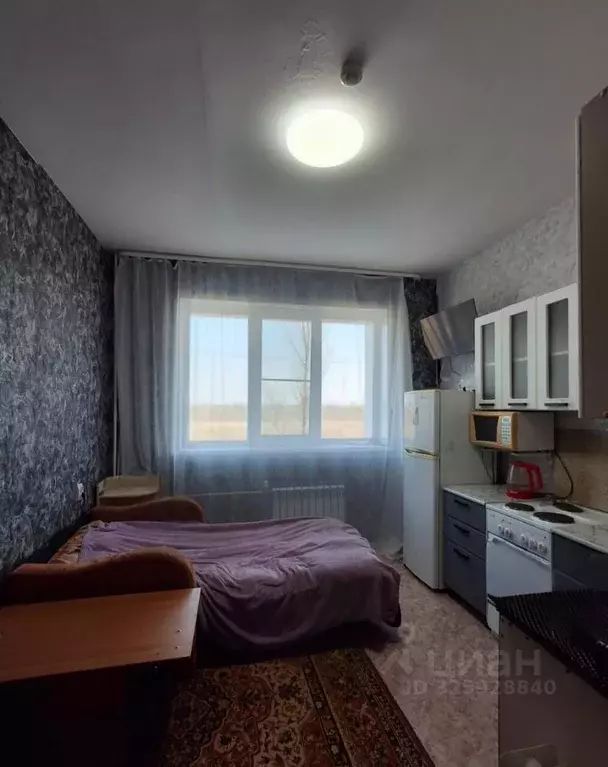 Студия Приморский край, Октябрьский муниципальный округ, с. Покровка ... - Фото 1