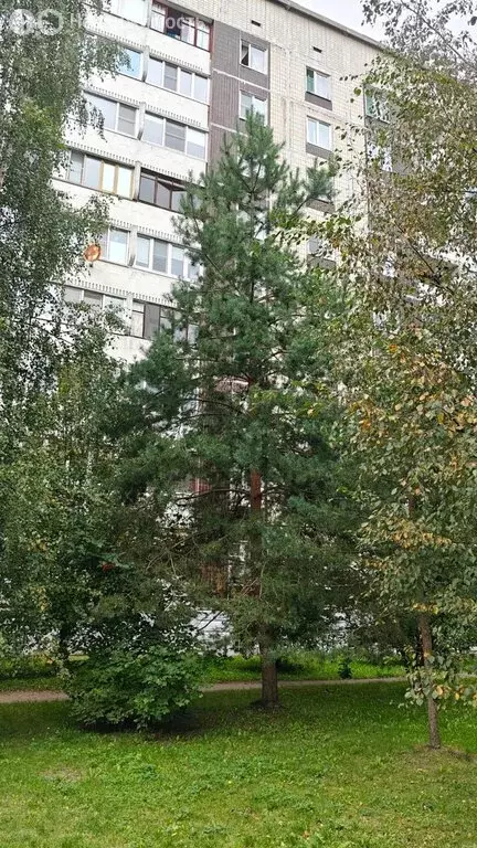 2-комнатная квартира: Отрадное, улица Гагарина, 14 (54.7 м) - Фото 1