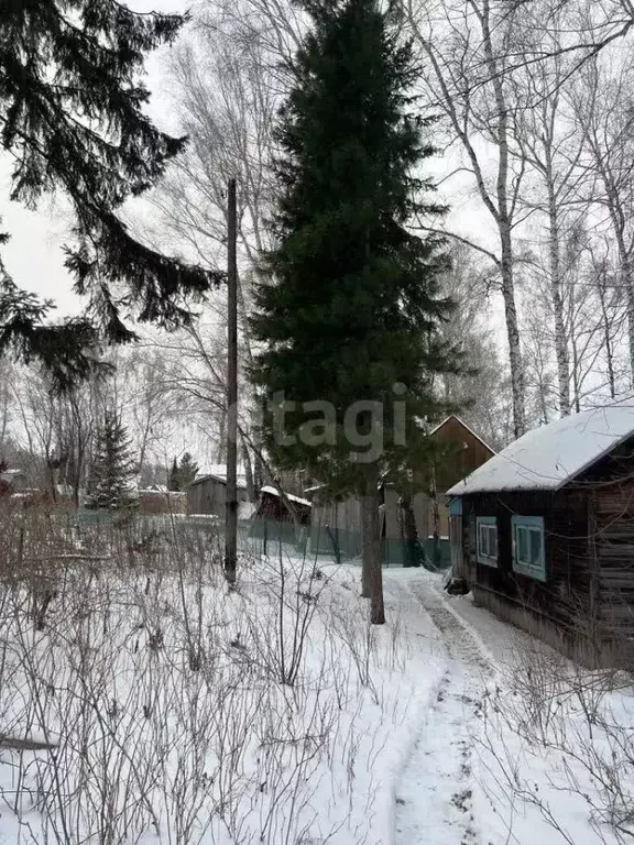 Участок в Кемеровская область, Кемерово Садовод СНТ,  (4.5 сот.) - Фото 1