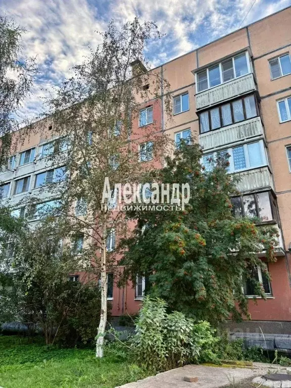1-к кв. Ленинградская область, Всеволожск Александровская ул., 81/1 ... - Фото 2