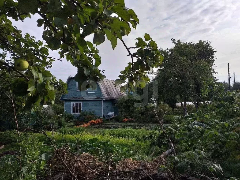 Участок в Ярославская область, Ярославль Ветеран Труда СНТ, 102 (4.6 ... - Фото 2