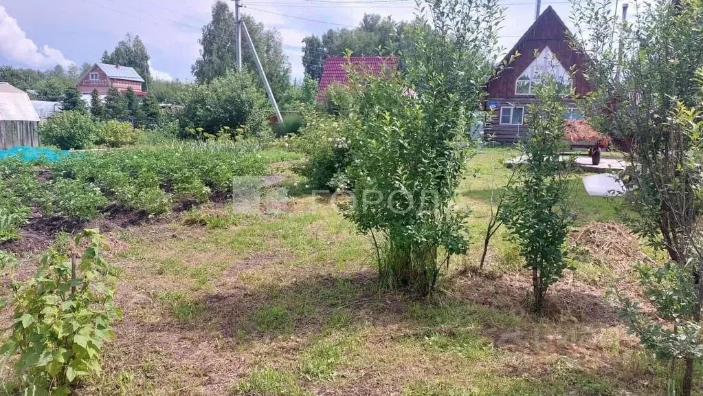 Дом в Новосибирская область, Тогучинский район, Заря садовое ... - Фото 1