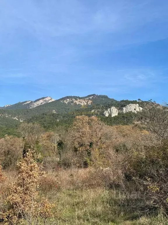 Участок в Крым, Ялта муниципальный округ, Массандра пгт ш. ... - Фото 2