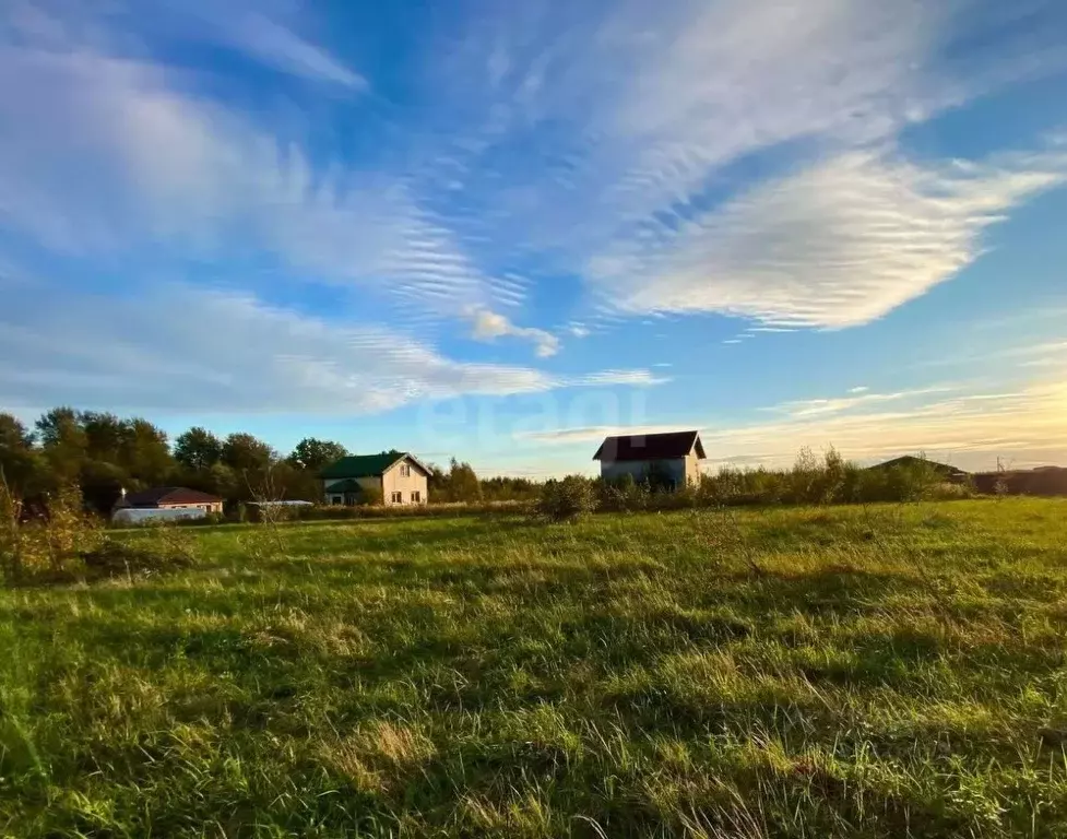 Участок в Московская область, Дмитровский муниципальный округ, д. ... - Фото 1
