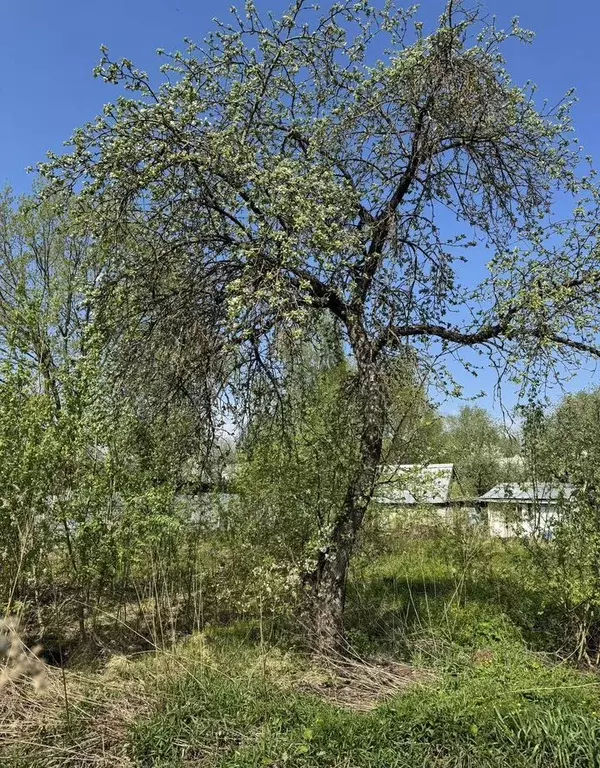 Участок в Московская область, Одинцовский городской округ, Памяти ... - Фото 2