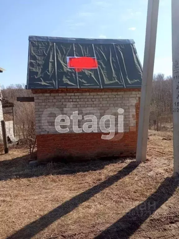 Участок в Амурская область, Благовещенский район, Кондитер СТ  (10.34 ... - Фото 2