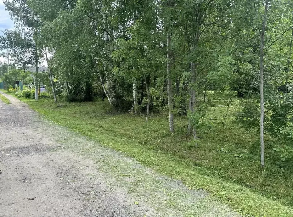 Участок в Московская область, Клин городской округ, Родничок-1 садовое ... - Фото 1