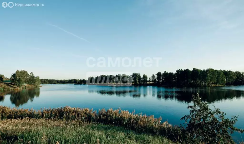 Участок в Тюменский муниципальный округ, деревня Малиновка, Вербная ... - Фото 1