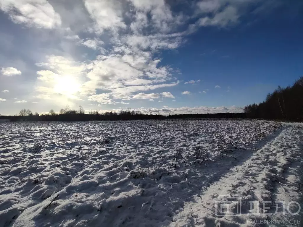 Участок в Рязанская область, Рязанский муниципальный округ, с. ... - Фото 2