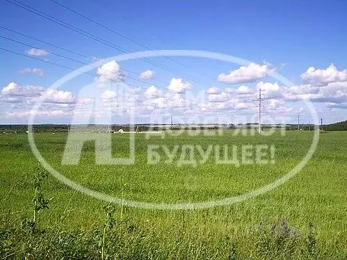 Участок в Пермский край, Лысьва ул. Ленина, 111 (6.0 сот.) - Фото 1