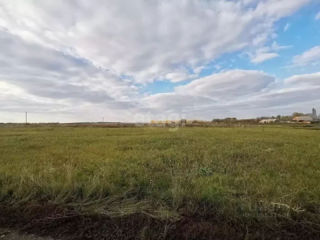 Участок в Воронежская область, Новоусманский район, с. Рогачевка ул. ... - Фото 1