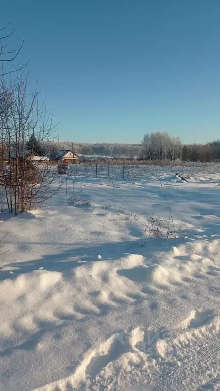 Участок в Новосибирская область, Черепановский район, с. Ярки Заречная ... - Фото 0