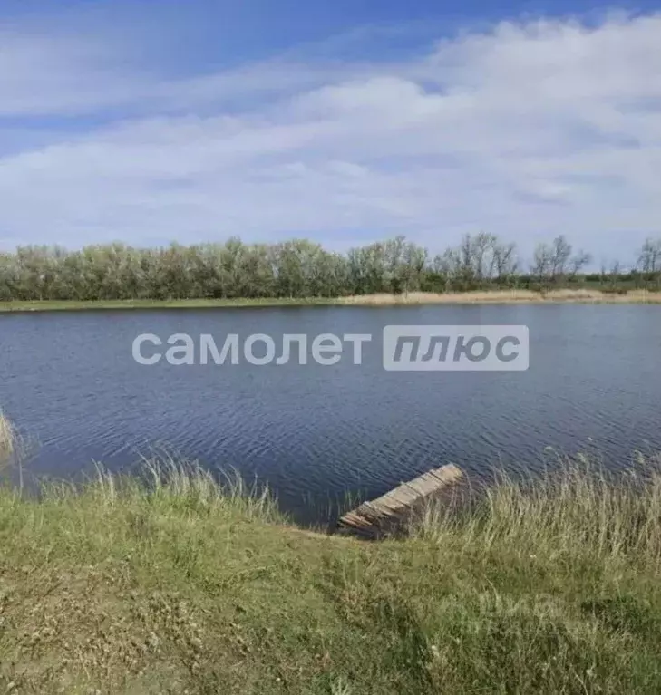 Участок в Самарская область, Красноармейский район, Колывань с/пос, ... - Фото 1