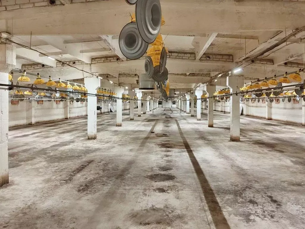 Склад в Ленинградская область, Ломоносовский район, Русско-Высоцкое ... - Фото 0