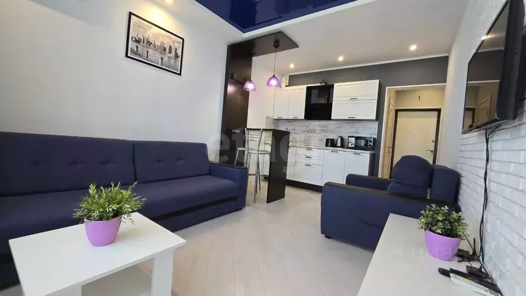 Студия Краснодарский край, Анапа Анапское ш., 24к2 (24.0 м) - Фото 2