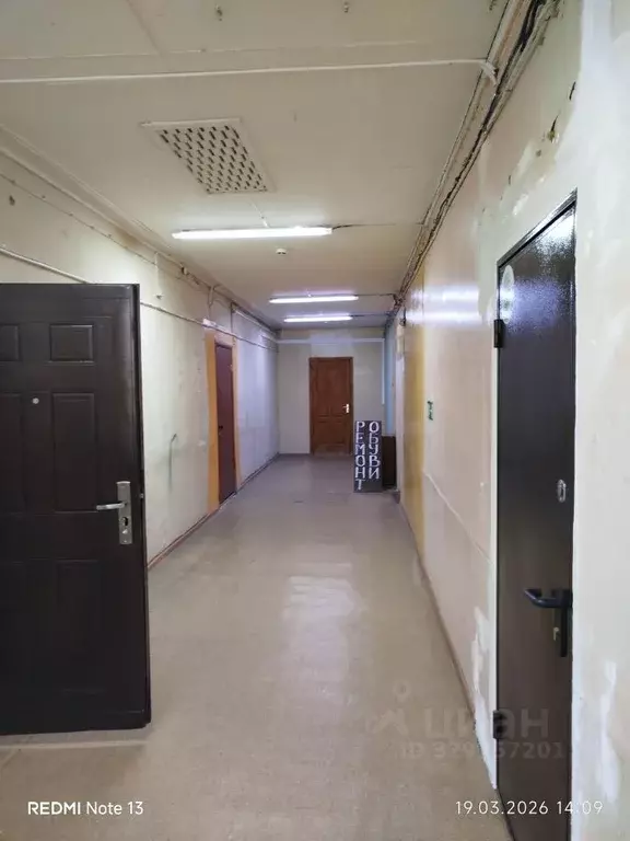 Помещение свободного назначения в Башкортостан, Межгорье ул. Дудорова, ... - Фото 1